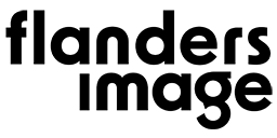Logo Flanders Image